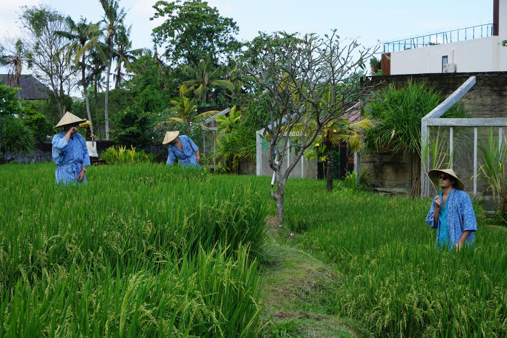 Shore Amora Canggu Екстер'єр фото